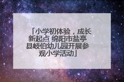 小学初体验，成长新起点 绵阳市盐亭县岐伯幼儿园开展参观小学活动